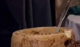 网友爆料网红美食视频,网友爆料背后的美食传奇